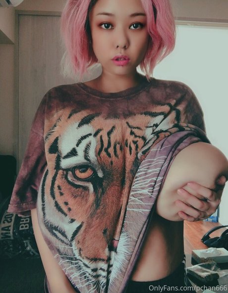 Pchan666