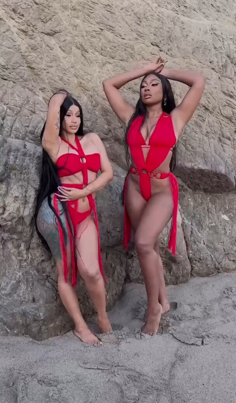 Megan Thee Stallion