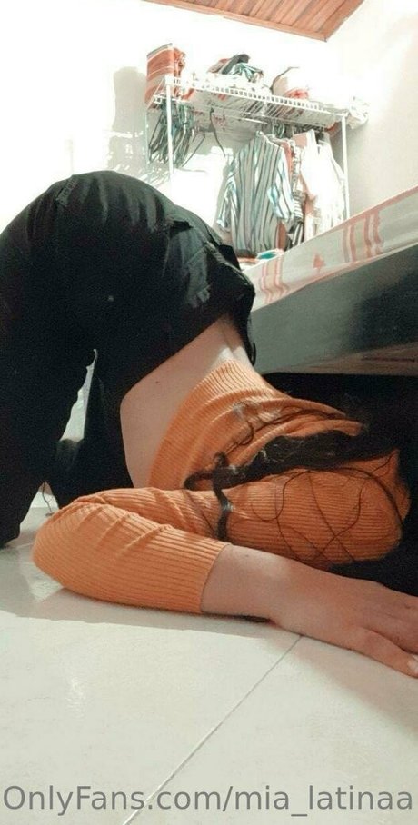 Mialatinaa