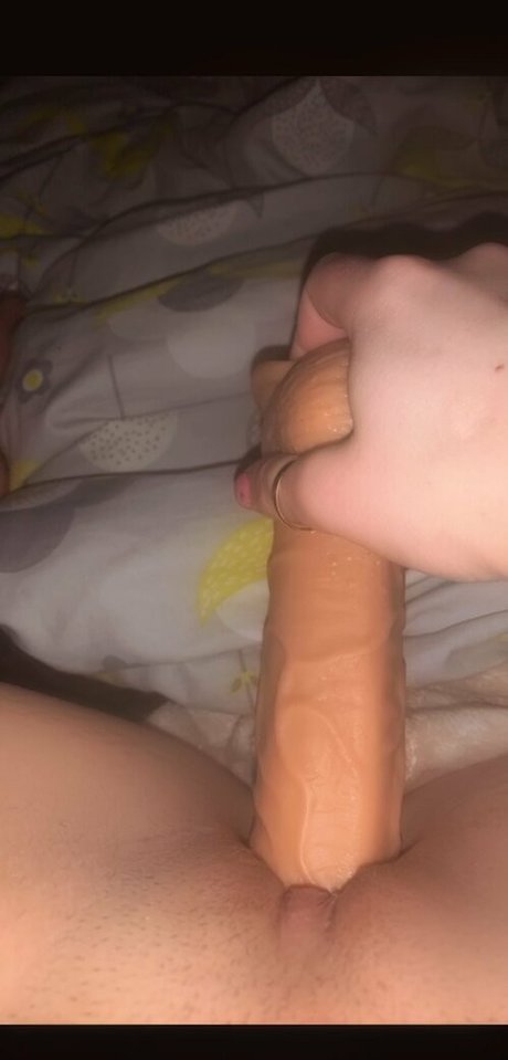 Lilybabyxo