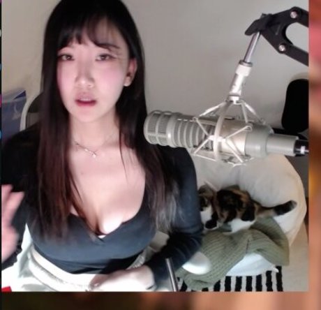 Ariasaki
