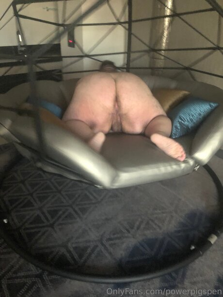 Powerpigspen