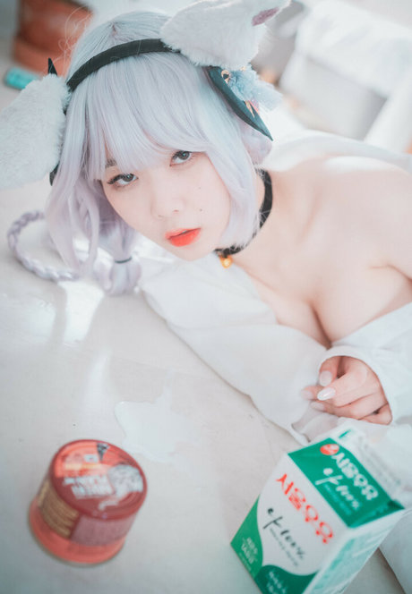 Zia_kwon