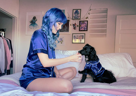 Bluejayfree