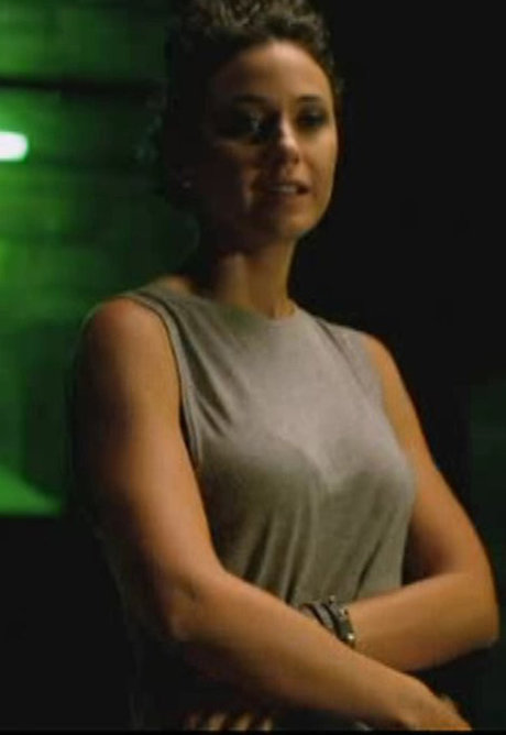 Emmanuelle Chriqui