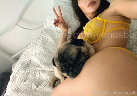 Venusbb