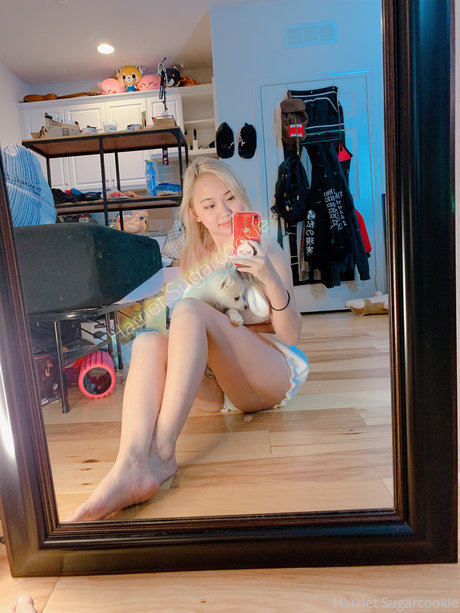 Harriet Sugarcookie