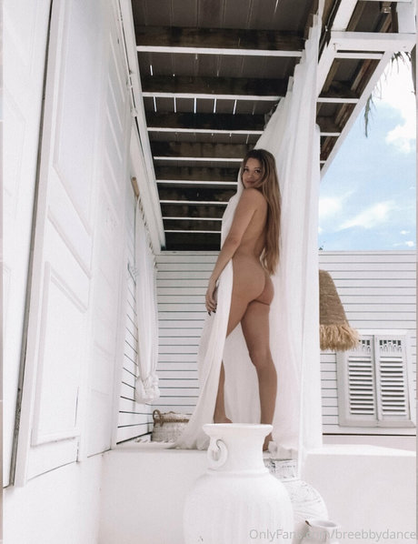 Breebbydance