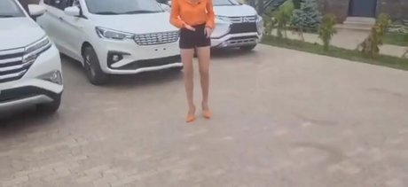 Lisarulit