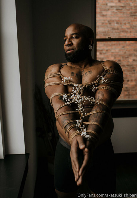 Akatsukishibari