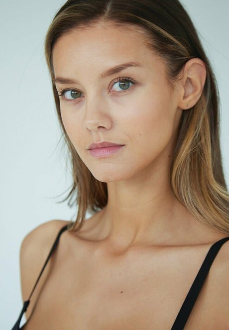 Nicola Cavanis