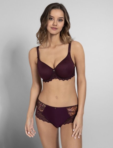 Nicola Cavanis