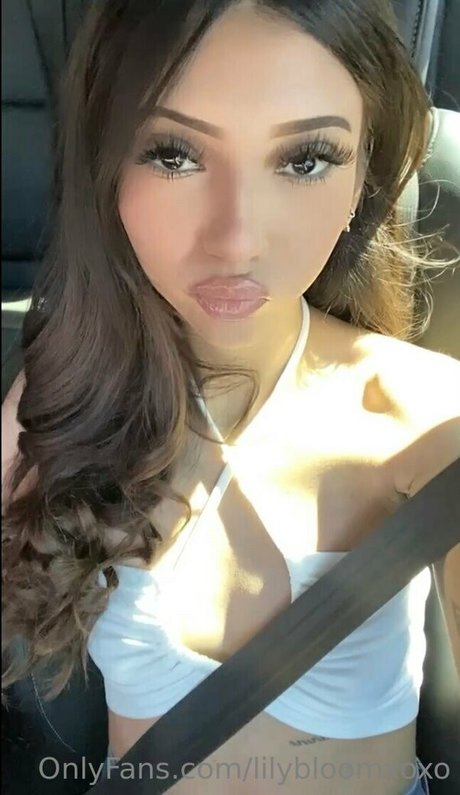 Ariiadams