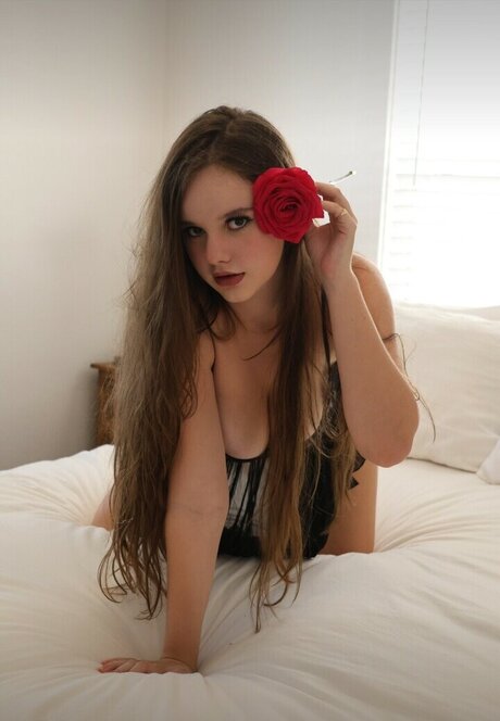 Isabella Ardley