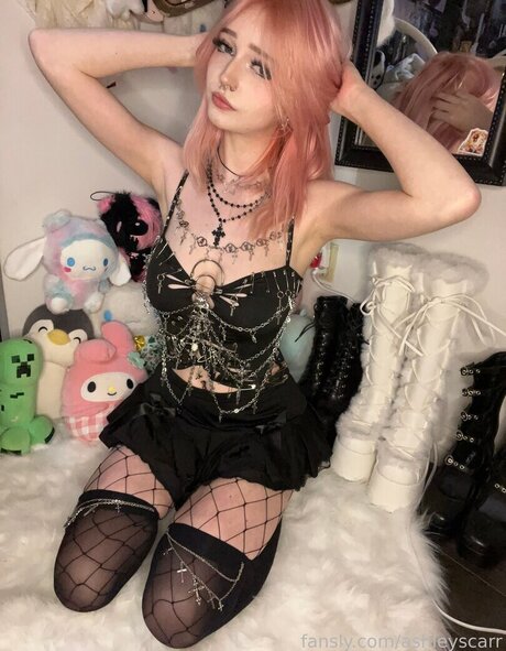 M.vlntn__
