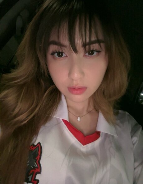 Swansage