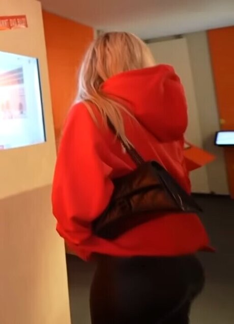 Snipsska