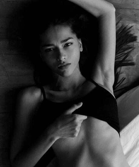 Schassi