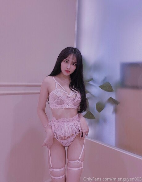 Miengn3