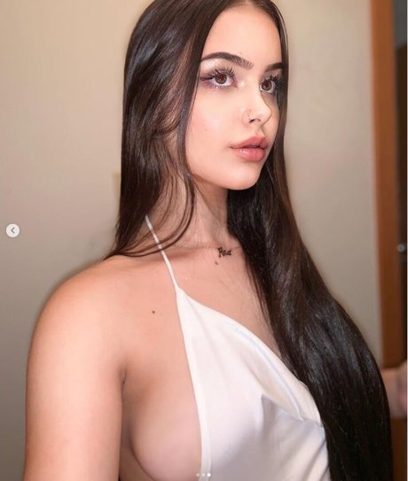 Lauratavora