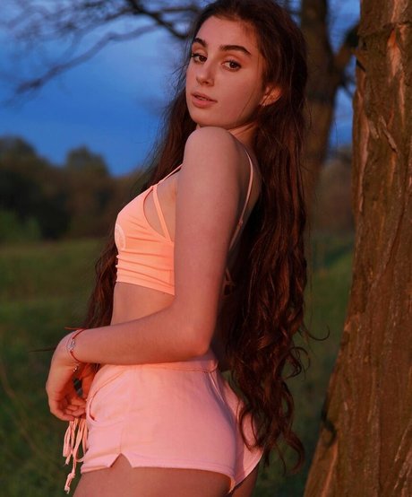 Lisiflex