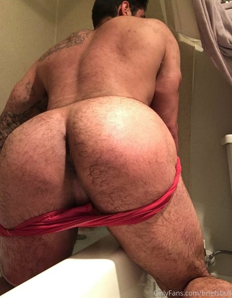 Briefsbull