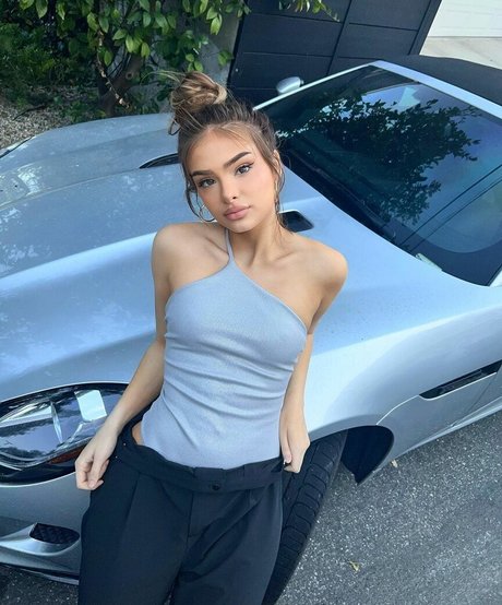 Brighton Sharbino