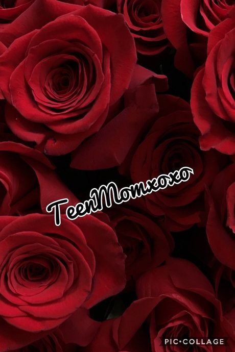 Teenmomxoxo