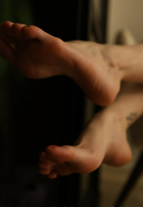 Sasa