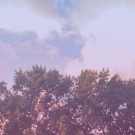 Naken lekkede OnlyFans-bilde av Quietlysmoking 