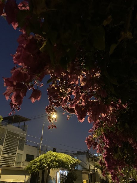 Naken lekkede OnlyFans-bilde av Amm