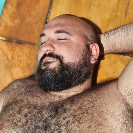 Bearsnow