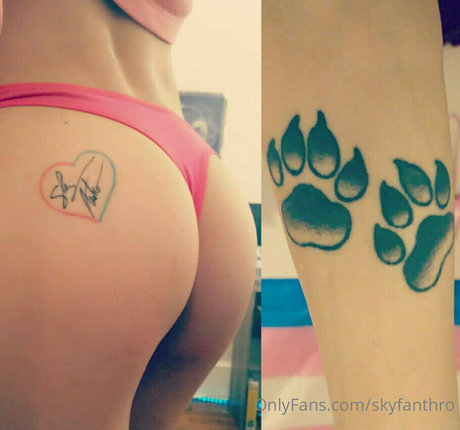 Skyanthro