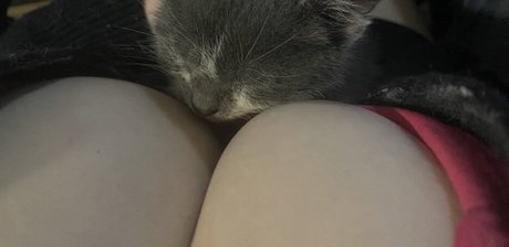 Succuhunnybunny