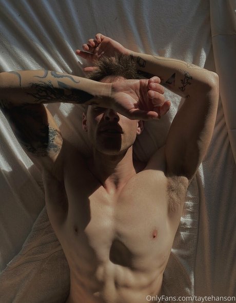 Taytehanson