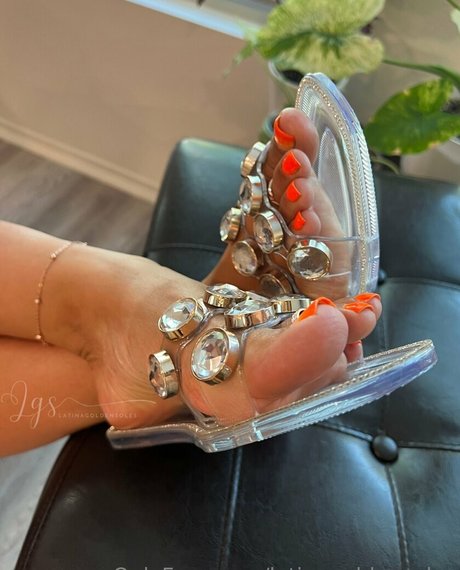 Latinagoldensoles