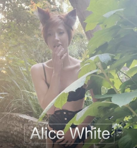 Aliceoncamfree