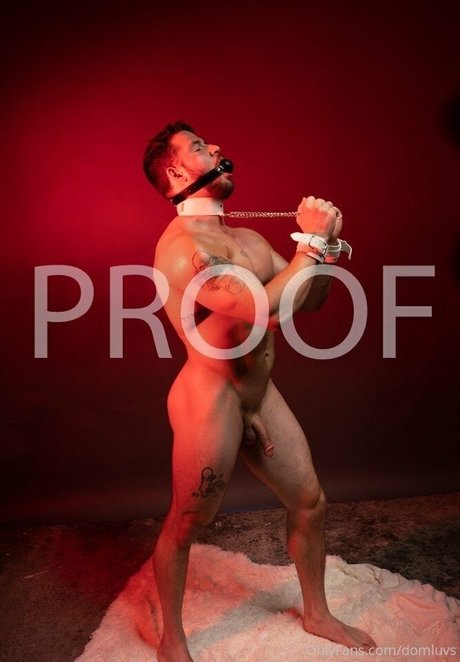 Domluvsfree  nude leaked OnlyFans photo