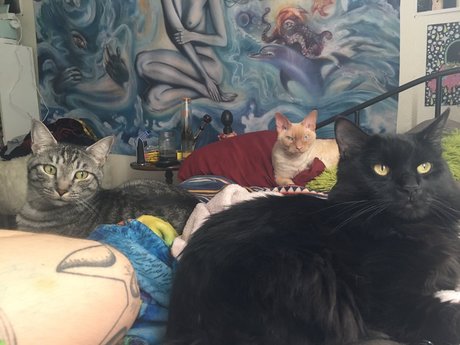 Nahá fotka uniklých OnlyFans od Jiggy Cat Tribe Asmr