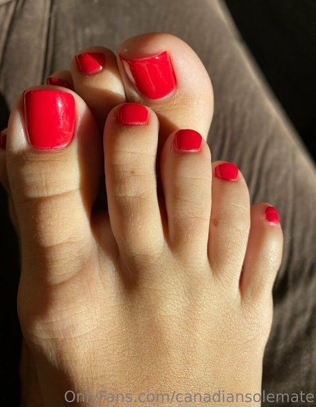 Canadiansolemate
