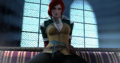 The Witcher