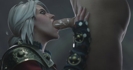 The Witcher