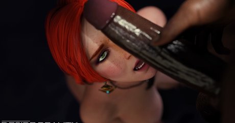 The Witcher