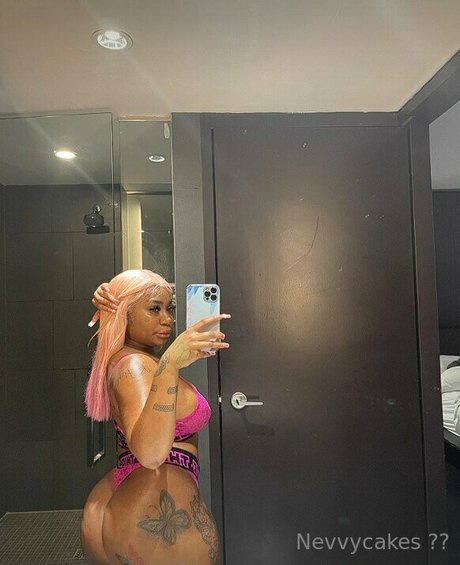 Nevvycakes