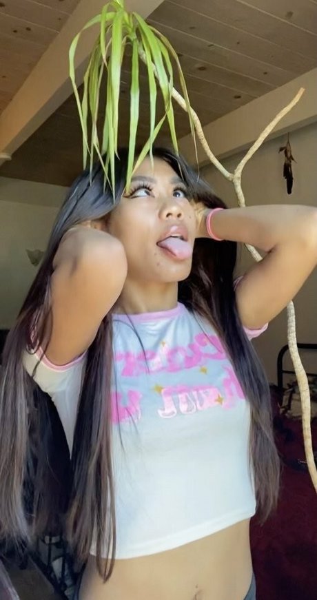 Kandi Kambo