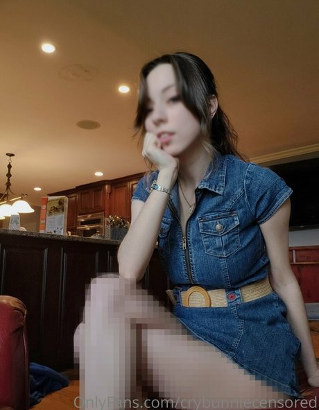 Crybunniecensored