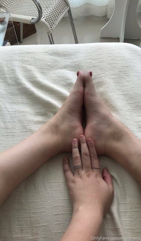 Ellaarievilo