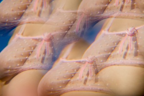 Naken lekkede OnlyFans-bilde av Dafne Fairy