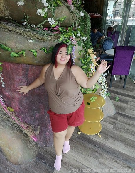 Ameenachubbycutie