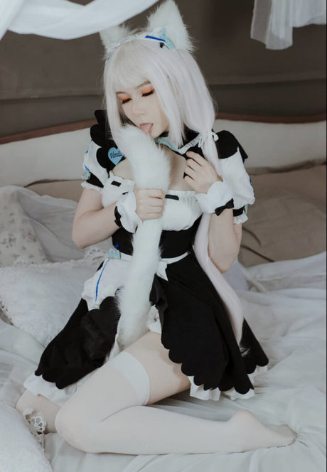 Visagefox